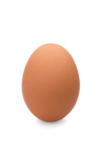Brothers Raise Free Range Eggs on Large Scale Image